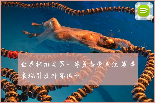 世界杯排名第一球员备受关注 赛事表现引发外界热议